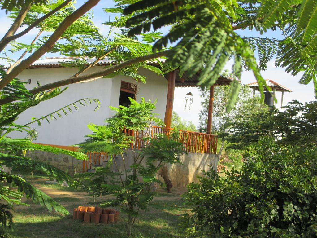 Coconut Island Villa Tangalle Esterno foto