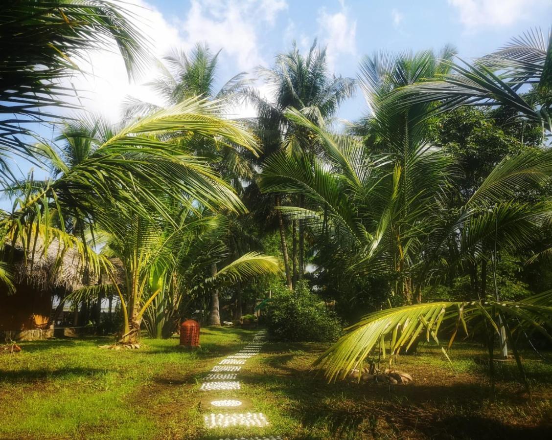 Coconut Island Villa Tangalle Esterno foto