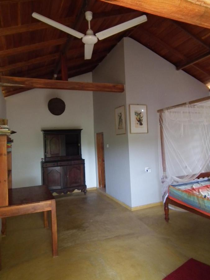 Coconut Island Villa Tangalle Esterno foto