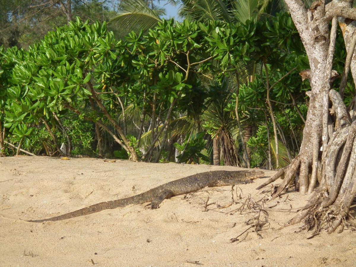 Coconut Island Villa Tangalle Esterno foto