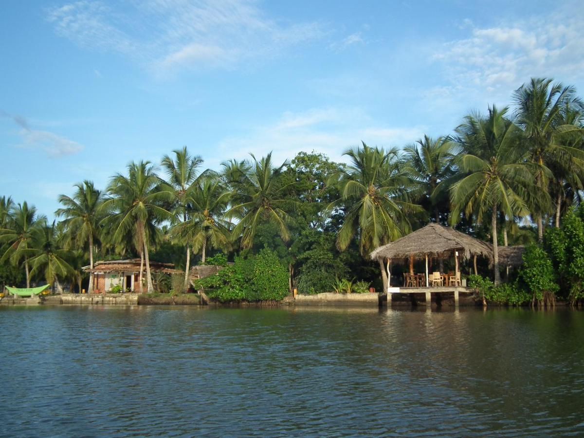 Coconut Island Villa Tangalle Esterno foto