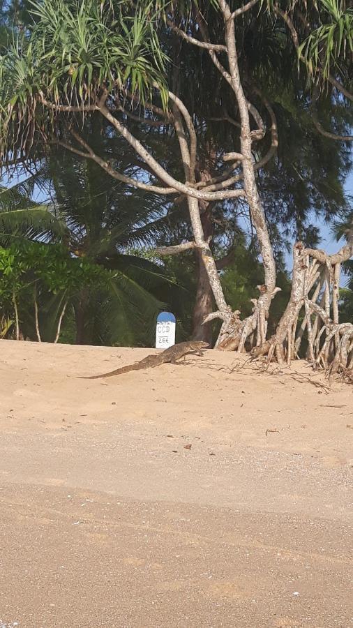 Coconut Island Villa Tangalle Esterno foto